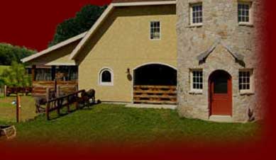 Welcome to Fleur de Lys Miniature Donkey Farm